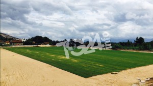 Stadio_Ferentino_16-08-2015_B