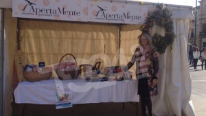 gazebo-raccolta-alimentare4