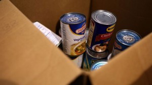 raccolta_alimentare