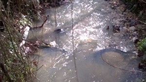 fosso-meringo-1
