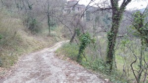 IMG-20160315-WA0012