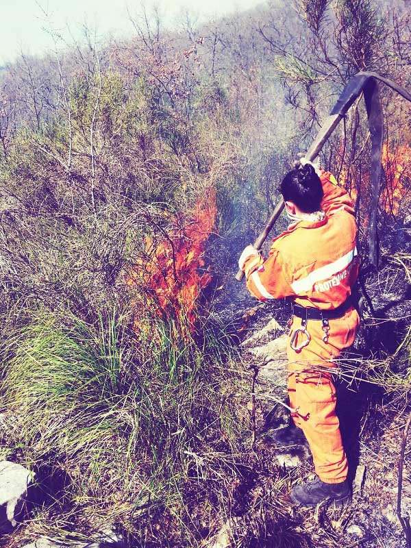 incendio castelnuovo parano (2)