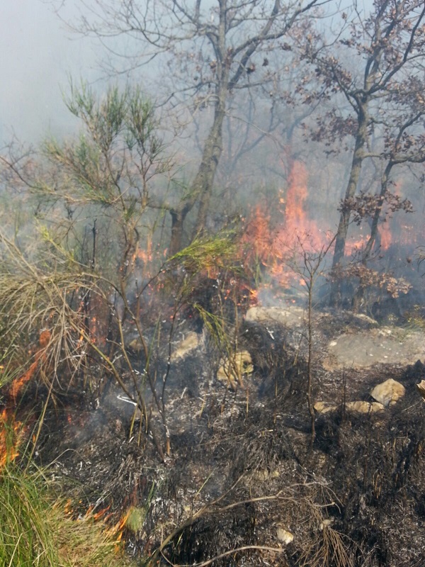 incendio castelnuovo parano (3)