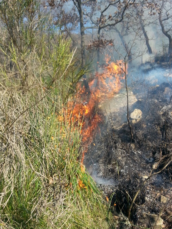incendio castelnuovo parano (7)