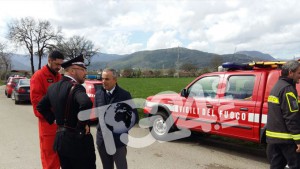 ricerche-sardelli2