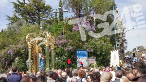 festa-madonna