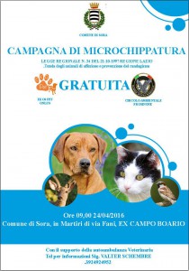 microchippatura sora