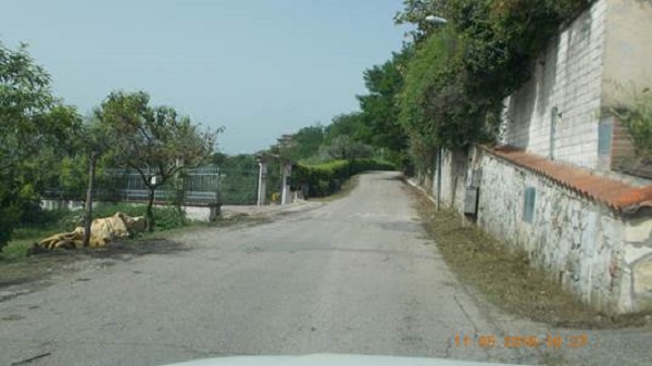 fr6