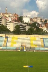 chicco_morto