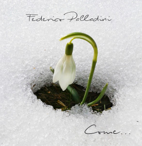 federico palladini - cover come