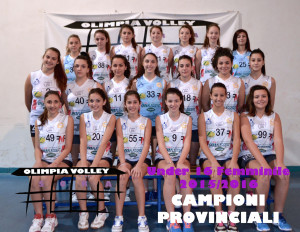 2015-2016 - U16F_sora