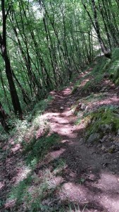 IMG-20160704-WA0014