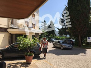 Zappino