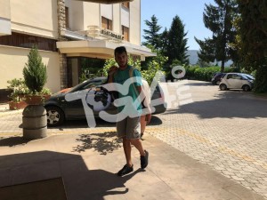 Volpe