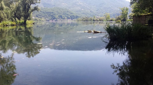Liquame sul lago