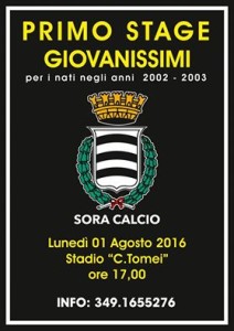 sora_calcio-stage_giovanili