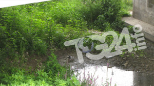 Liri-Sora2