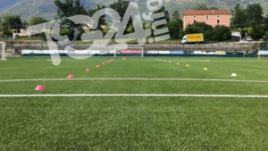 campo
