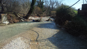 fiume_cosa