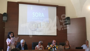 sora_estat