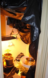bagno_laboratorio_2