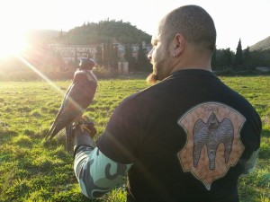 falconeria d&m