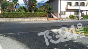 casamari_carburante