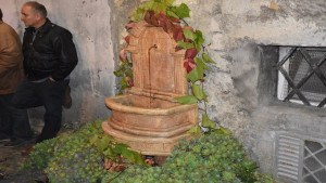 strango-cantine-2