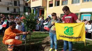 strango-festa-albero