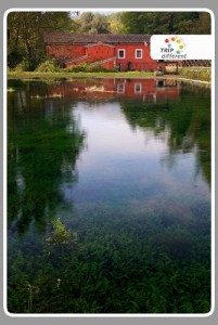 Mulino-02-201x300