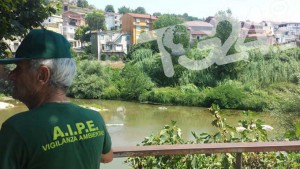 Rio_Fontanelle_villa_santa_lucia