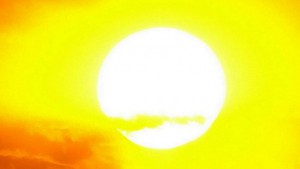 caldo