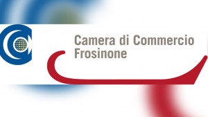 camera_commercio