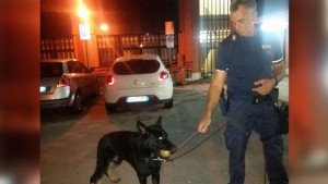 cane-poliziotto-yago