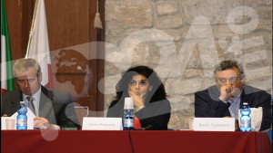 consiglio3