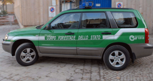 corpo-forestale-dello-stato