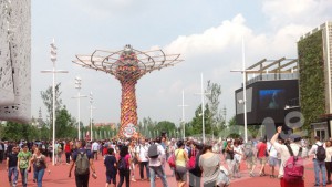 expo_alberodellavita1