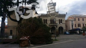 fiuggi_albero_vento_2