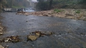 fiume-cosa