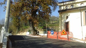 frosinone4