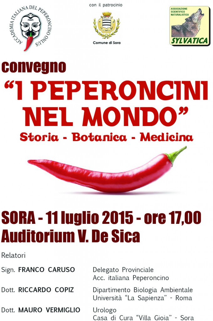 locandina convegno_11_luglio