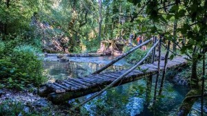 picinisco_parco