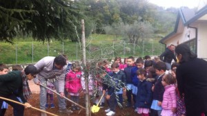 scuola-veroli-1