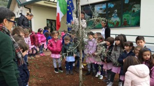 scuola-veroli-2