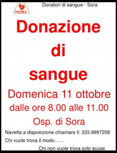sora_donazione