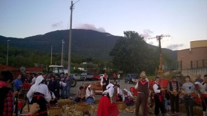 veroli-grano2