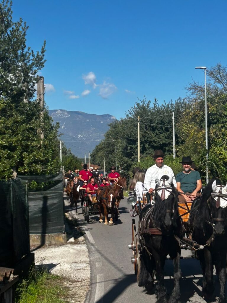 Ceccano a Cavallo - TG24.info