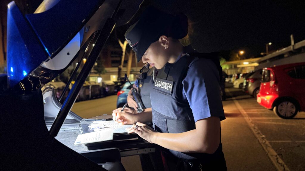 NINV - Le operazioni dei Carabinieri 2 - TG24.info