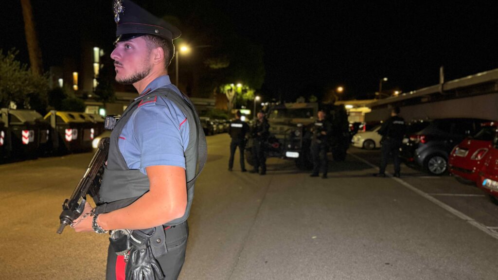 NINV - Le operazioni dei Carabinieri 3 - TG24.info