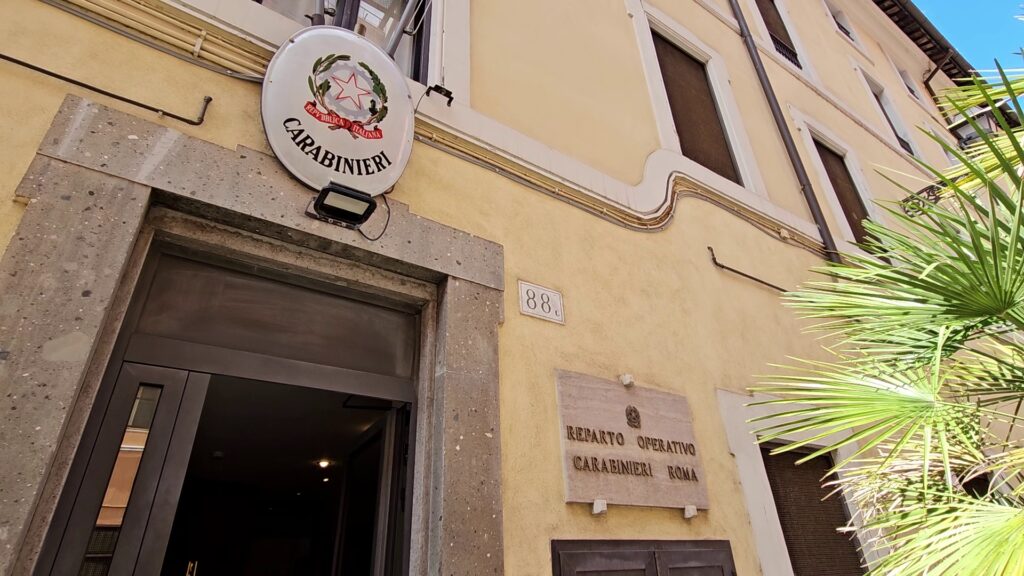 NINV - Le operazioni dei Carabinieri 6 - TG24.info